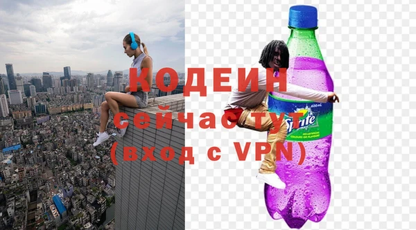 прущие грибы Сафоново
